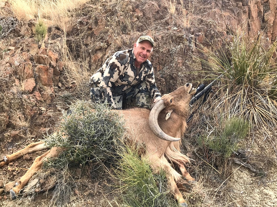 Hunter in camouflage behind an aoudad ram in low desert scrub and bunchgrass