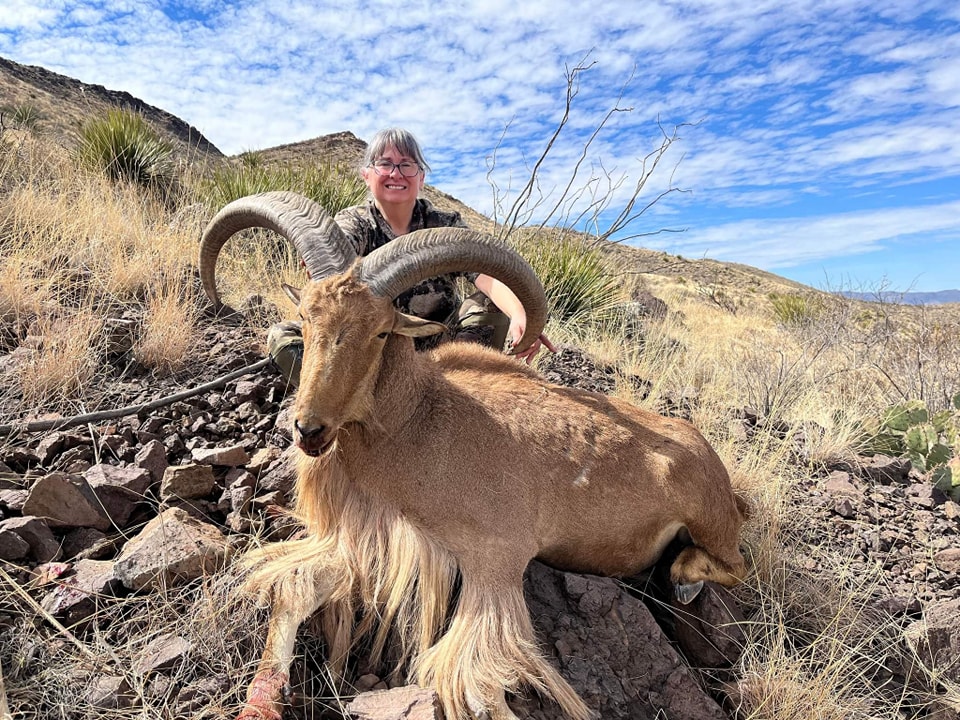 Hunter behind an aoudad ram on a rocky slope under a big cloudy West Texas sky