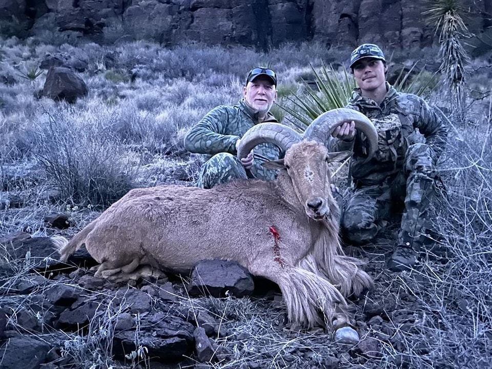 Two hunters kneeling behind an aoudad ram in frost-covered grass and yucca