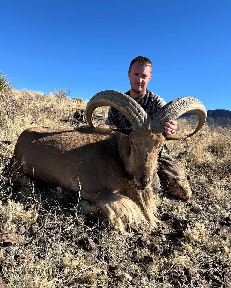 Hunter behind an aoudad ram on a grassy slope with desert mountains in the distance