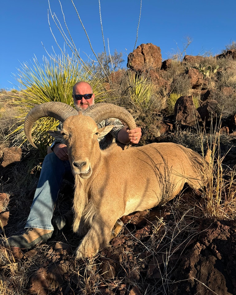 Hunter behind an aoudad ram beside a sotol on a rock outcrop