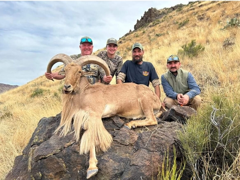 Four hunters kneeling on a rock outcrop behind a heavy-horned aoudad ram, grass hillside and rimrock behind them